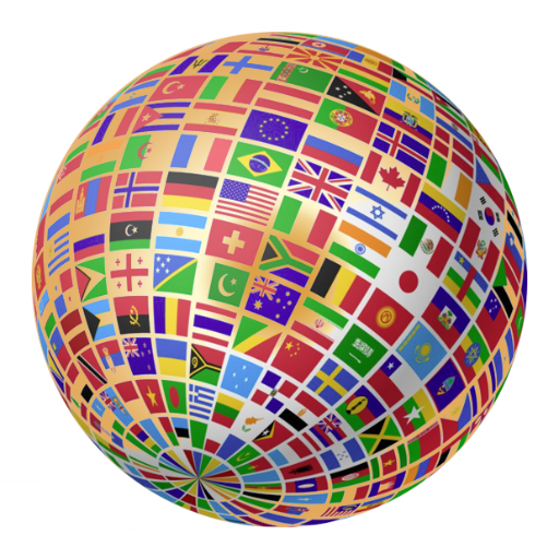 FlagGuesser logo