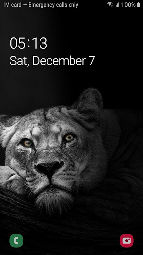 Android application Best Black Lion Wallpaper FHD screenshort
