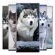 オオカミの壁紙 - Androidアプリ