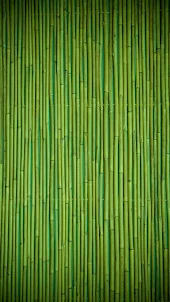 papéis de parede de bambu