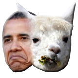 Obama or a Llama icon