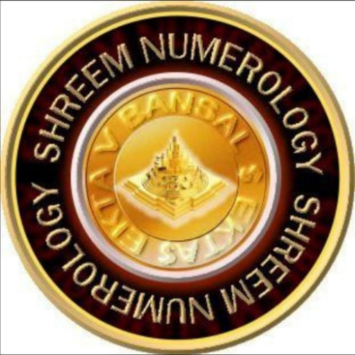 SHREEM NUMEROLOGY 369 logo