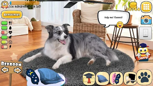 Cool Pet Games For Everyone - Pets and Us