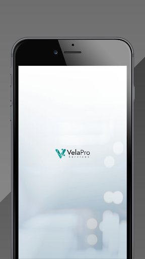 Vela Tax Services Screen 2