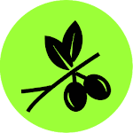 Olives yield Apk