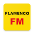 Flamenco Radio Station Online - Flamenco FM Music2.3.3