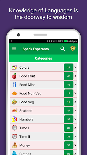 Screenshot of Learn Esperanto Language App