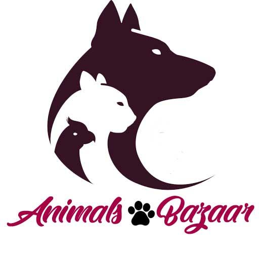 AnimalsBazaar Buy  Sell Any Animals Accessories