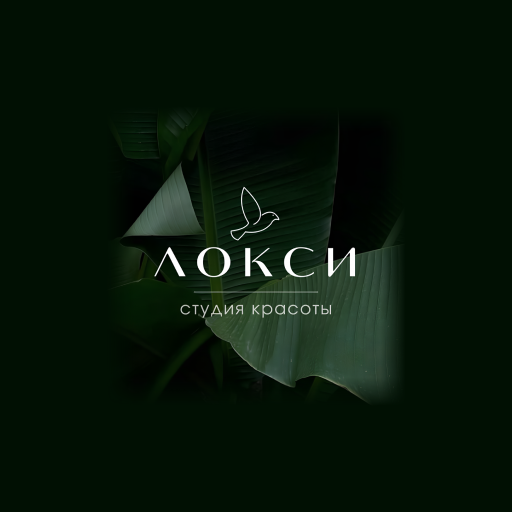 Студия красоты ЛОКСИ