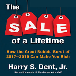 Icon image The Sale a Lifetime: How the Great Bubble Burst of 2017-2019 Can Make You Rich