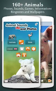 Animal Sounds - Apps on Google Play