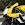 HD Motorcycle Sounds