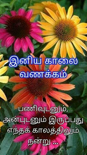 5000+Tamil Good Morning Quotes Screen 2
