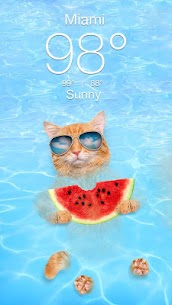 Weather Kitty – App & Widget Weather Forecast 2