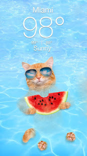 Weather Kitty - App & Widget Weather Forecast Varies with device screenshots 2