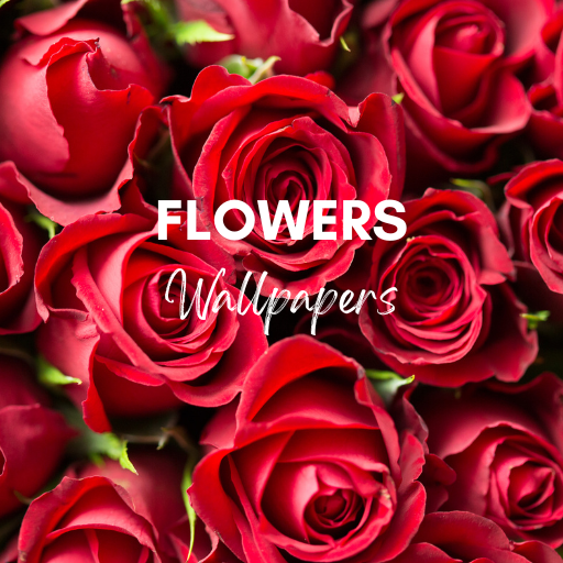 Flower Wallpapers - HD & 4K logo