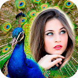 Peacock Photo Frame icon