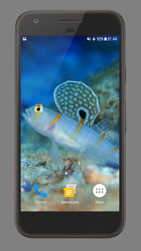 Android application Sea Life Theme Video Wallpaper screenshort