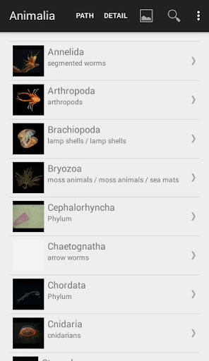 Deep Sea ID Screen 2