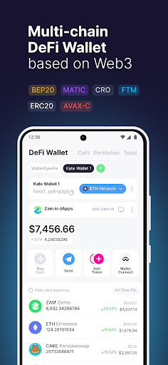 ZamWallet Crypto, DeFi, Invest Screen 2