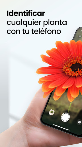 Vista previa de la aplicación