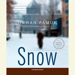 Icon image Snow: A Novel