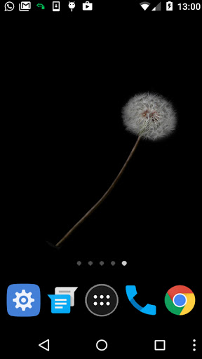 seed wallpaper Screen 2