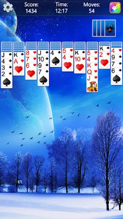 Game screenshot Spider Solitaire Fun hack
