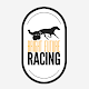 Bright Future Racing Скачать для Windows