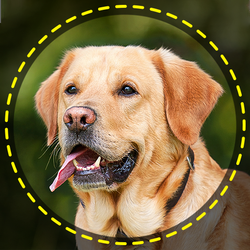 Dog Breed Scanner Dog Breed ID  Icon