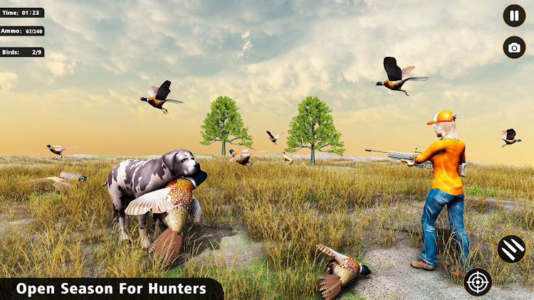 Pheasant Birds Hunting Games - 1.0 - (Android)