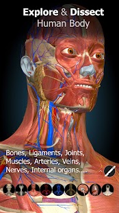 Anatomy Learning - 3D Anatomy Screenshot