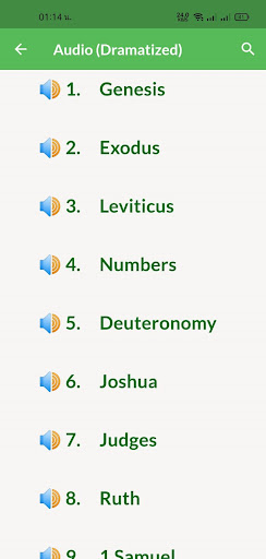 Audio Bible - NKJV Bible App screenshot