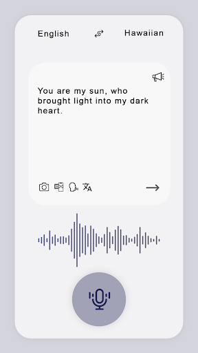 Hawaiian English Translate Screen 3