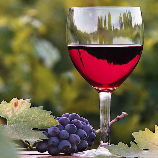 Napa Valley Winery for Tablets logo