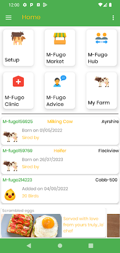 M-Fugo Africa Screen 2