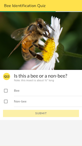 WiBee: The Wisconsin Wild Bee Screen 3