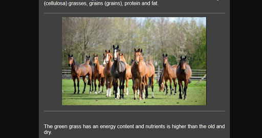 the way of cattle Horses