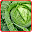 Cabbage Recipes: Cabbage soup, Cabbage salad Download on Windows