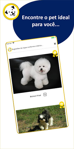 SugesCão: raças de cães Screen 2