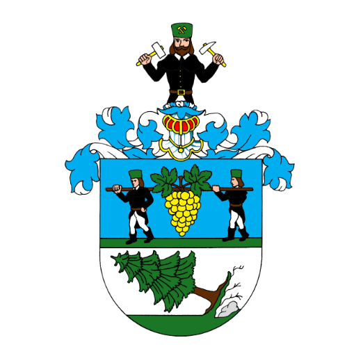 Město Vejprty logo