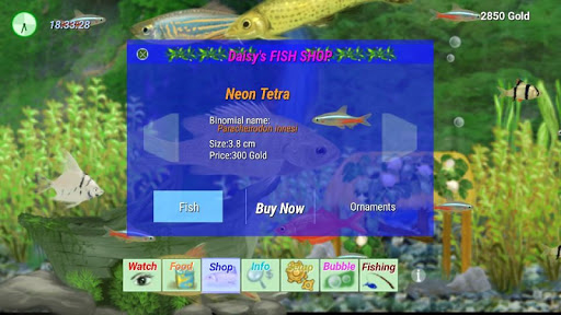 Freshwater Aquarium Screen 2