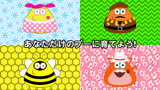 プーチッチPou_8