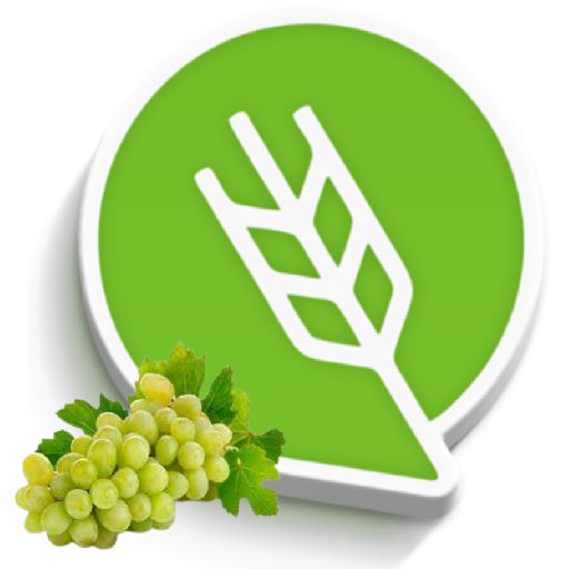 द्राक्ष लागवड #Agrownet™ logo