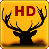 Deer Live Wallpapers icon