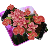 Classy lilac orchids wallpaper icon