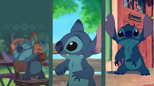 Blue Koala Wallpaper 4K