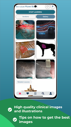 NYSORA Vet App Screen 3