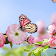 Widescreen Flower HD icon