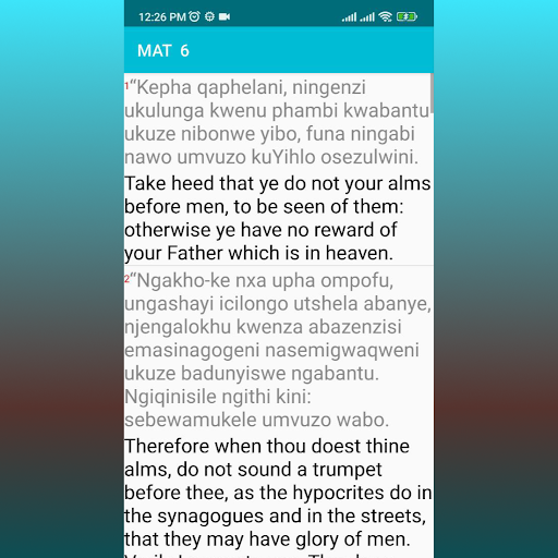 English Zulu Bible Screen 3
